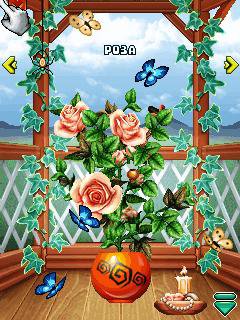 Скриншот к игре Биосим 2