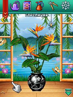 Скриншот к игре Биосим 2